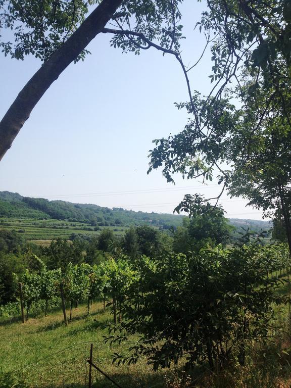 B&B Maccalle Oasi Franciacorta Provezze Eksteriør billede